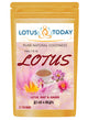 தாமரை இதழ் ஆரோக்கிய தேநீர் - Lotus Tea  21 Tea Bags