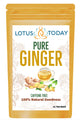 இஞ்சி தேநீர் Ginger Tea Pure Root Ginger Tea | 21 Tea Bags